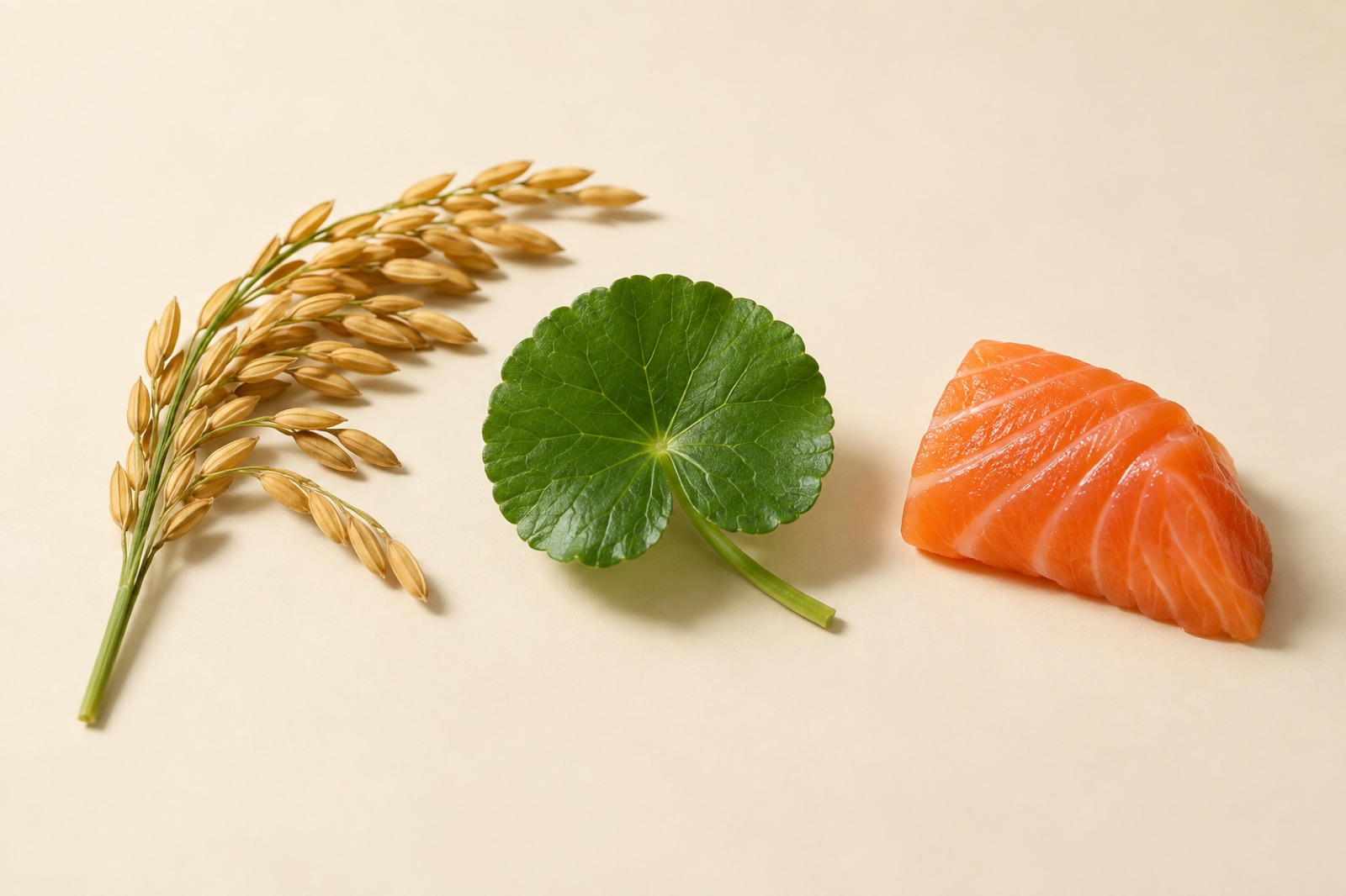 Left to right on a pale cream background: a yellowed ear of rice, one round green leaf, and a piece of raw orange salmon