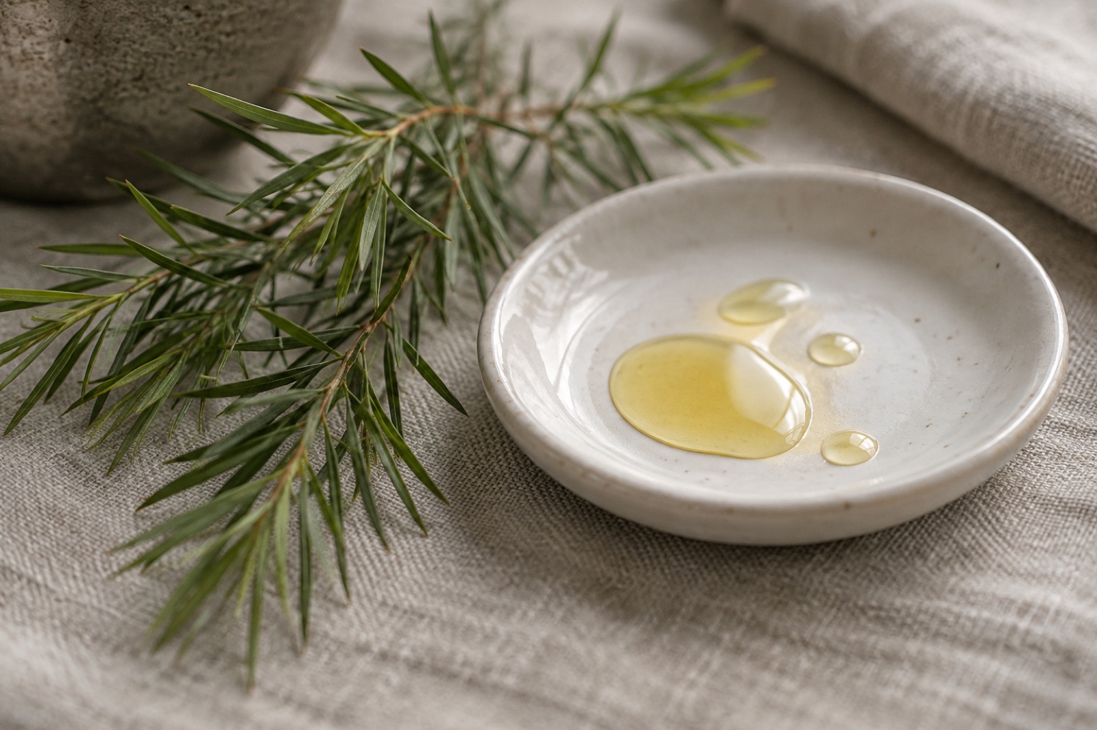 Yellowish drops of oil pooled on a white ceramic dish beside a green branch with needle-thin leaves, on linen